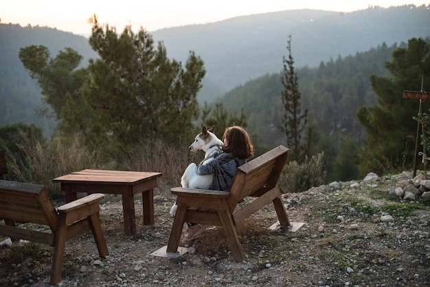 A picturesque scene featuring a girl sitting on a bench with a beautiful husky beside her. They are situated in a serene environment, surrounded by lush greenery and a breathtaking view in the background.