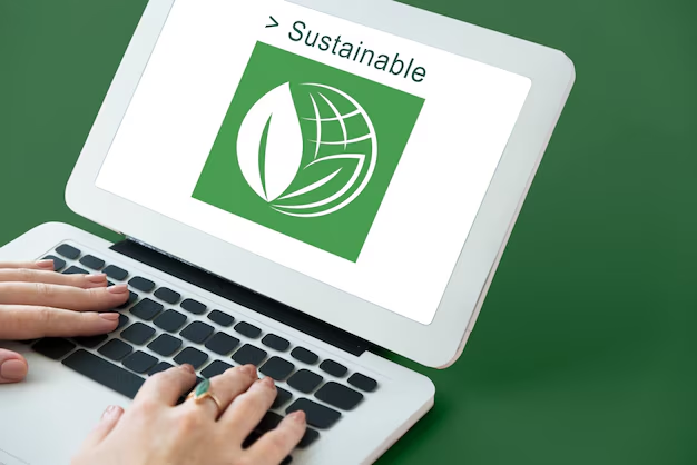 Emphasis on Sustainability and Ethical E-commerce