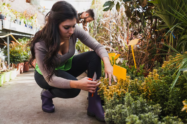 Hobbies such as Urban Gardening