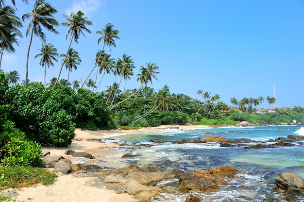 Best Beaches in Mumbai: From Juhu to Aksa